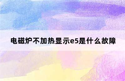 电磁炉不加热显示e5是什么故障