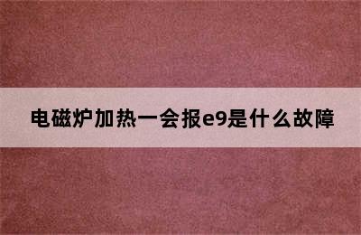 电磁炉加热一会报e9是什么故障