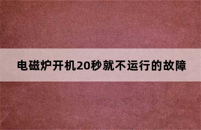 电磁炉开机20秒就不运行的故障