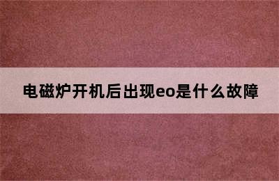 电磁炉开机后出现eo是什么故障