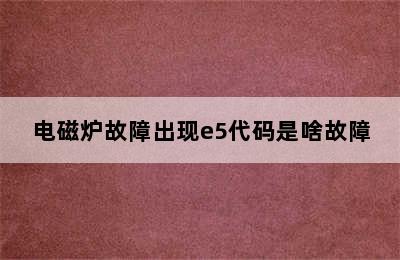 电磁炉故障出现e5代码是啥故障