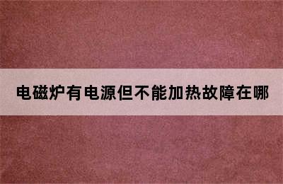 电磁炉有电源但不能加热故障在哪