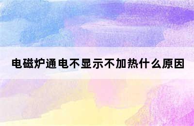 电磁炉通电不显示不加热什么原因