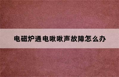 电磁炉通电啾啾声故障怎么办