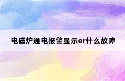 电磁炉通电报警显示er什么故障