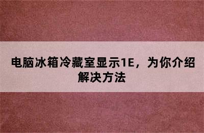 电脑冰箱冷藏室显示1E，为你介绍解决方法