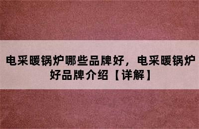 电采暖锅炉哪些品牌好，电采暖锅炉好品牌介绍【详解】