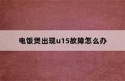 电饭煲出现u15故障怎么办