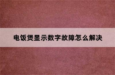 电饭煲显示数字故障怎么解决