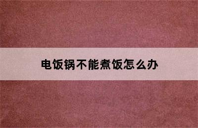 电饭锅不能煮饭怎么办