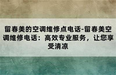 留春美的空调维修点电话-留春美空调维修电话：高效专业服务，让您享受清凉