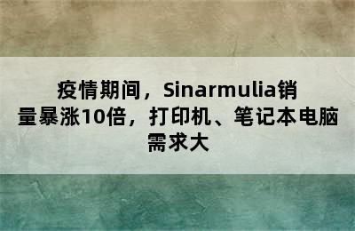 疫情期间，Sinarmulia销量暴涨10倍，打印机、笔记本电脑需求大