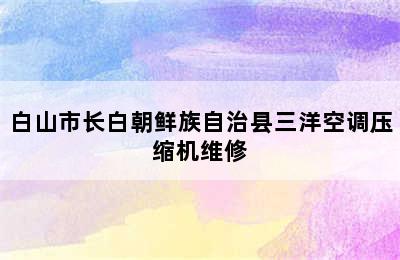 白山市长白朝鲜族自治县三洋空调压缩机维修