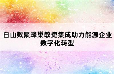 白山数聚蜂巢敏捷集成助力能源企业数字化转型