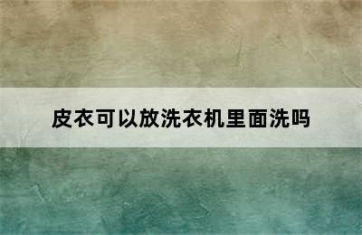 皮衣可以放洗衣机里面洗吗