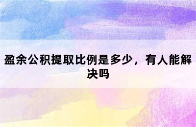 盈余公积提取比例是多少，有人能解决吗