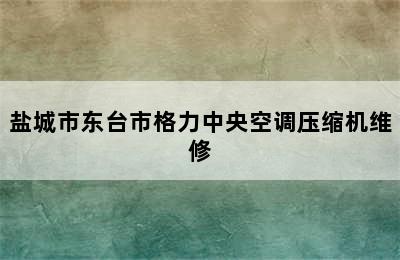 盐城市东台市格力中央空调压缩机维修