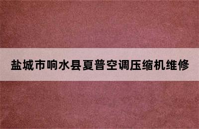 盐城市响水县夏普空调压缩机维修