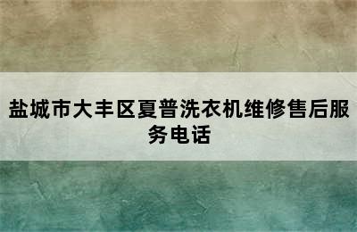 盐城市大丰区夏普洗衣机维修售后服务电话