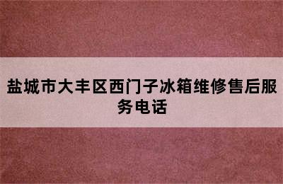 盐城市大丰区西门子冰箱维修售后服务电话