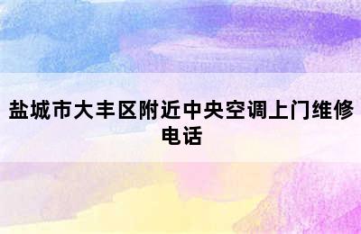 盐城市大丰区附近中央空调上门维修电话