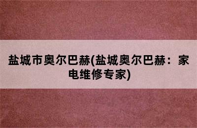 盐城市奥尔巴赫(盐城奥尔巴赫：家电维修专家)