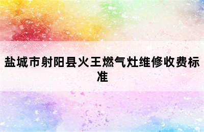 盐城市射阳县火王燃气灶维修收费标准