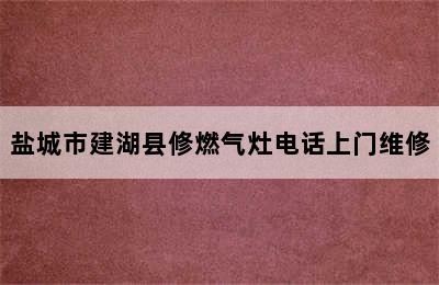 盐城市建湖县修燃气灶电话上门维修