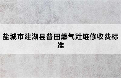 盐城市建湖县普田燃气灶维修收费标准