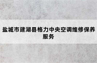 盐城市建湖县格力中央空调维修保养服务