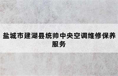 盐城市建湖县统帅中央空调维修保养服务