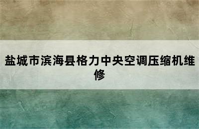 盐城市滨海县格力中央空调压缩机维修