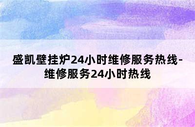 盛凯壁挂炉24小时维修服务热线-维修服务24小时热线