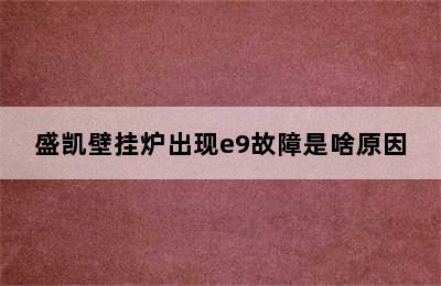 盛凯壁挂炉出现e9故障是啥原因