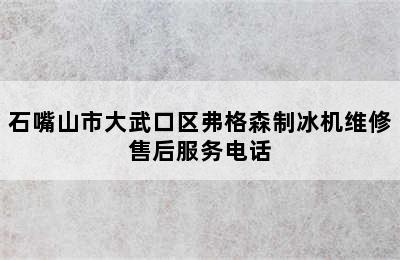 石嘴山市大武口区弗格森制冰机维修售后服务电话