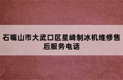 石嘴山市大武口区星崎制冰机维修售后服务电话