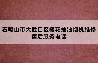 石嘴山市大武口区樱花抽油烟机维修售后服务电话