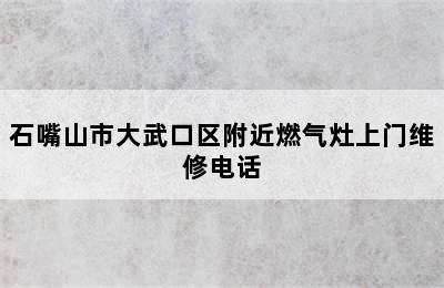 石嘴山市大武口区附近燃气灶上门维修电话