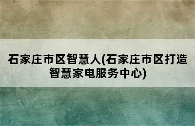 石家庄市区智慧人(石家庄市区打造智慧家电服务中心)