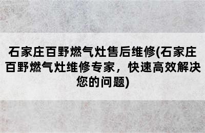 石家庄百野燃气灶售后维修(石家庄百野燃气灶维修专家，快速高效解决您的问题)