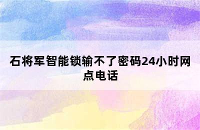 石将军智能锁输不了密码24小时网点电话