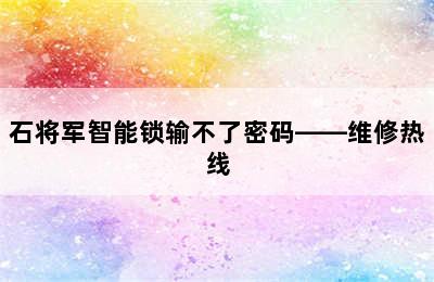 石将军智能锁输不了密码——维修热线