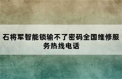 石将军智能锁输不了密码全国维修服务热线电话