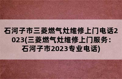 石河子市三菱燃气灶维修上门电话2023(三菱燃气灶维修上门服务：石河子市2023专业电话)