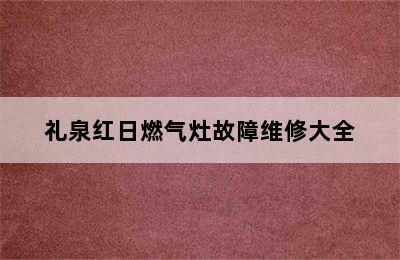 礼泉红日燃气灶故障维修大全