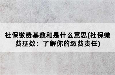 社保缴费基数和是什么意思(社保缴费基数：了解你的缴费责任)