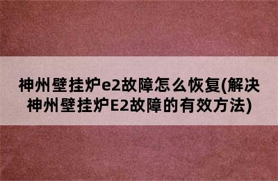 神州壁挂炉e2故障怎么恢复(解决神州壁挂炉E2故障的有效方法)