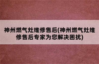 神州燃气灶维修售后(神州燃气灶维修售后专家为您解决困扰)