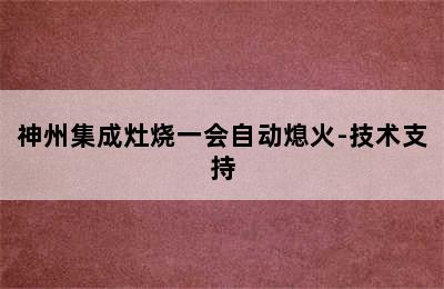 神州集成灶烧一会自动熄火-技术支持