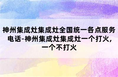 神州集成灶集成灶全国统一各点服务电话-神州集成灶集成灶一个打火,一个不打火